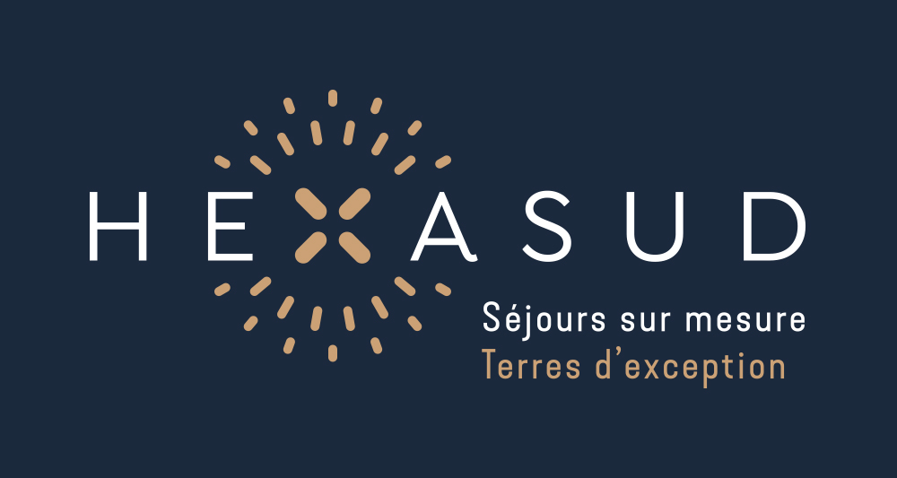 hexasud logo bleu
