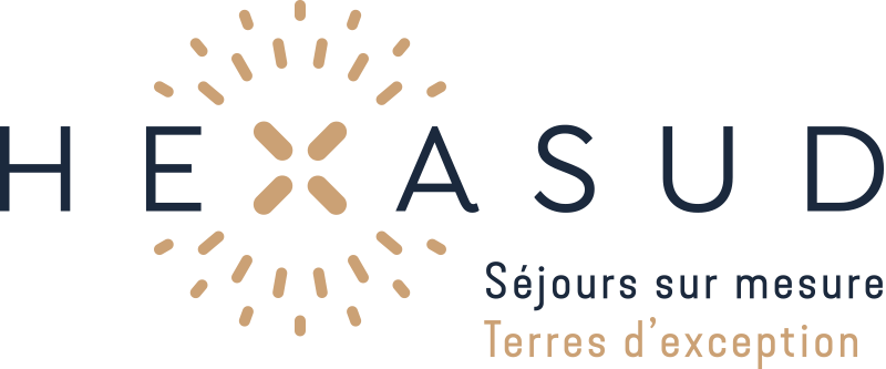 hexasud logo