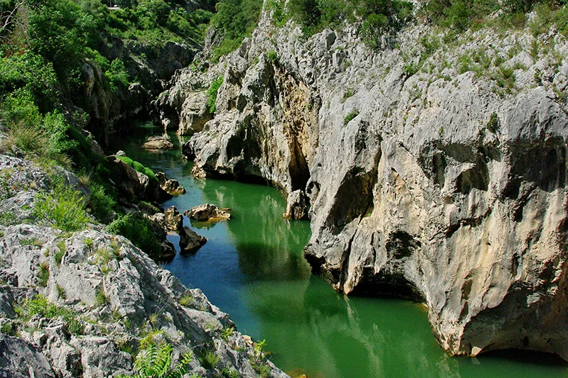 gorges de l'Hérault