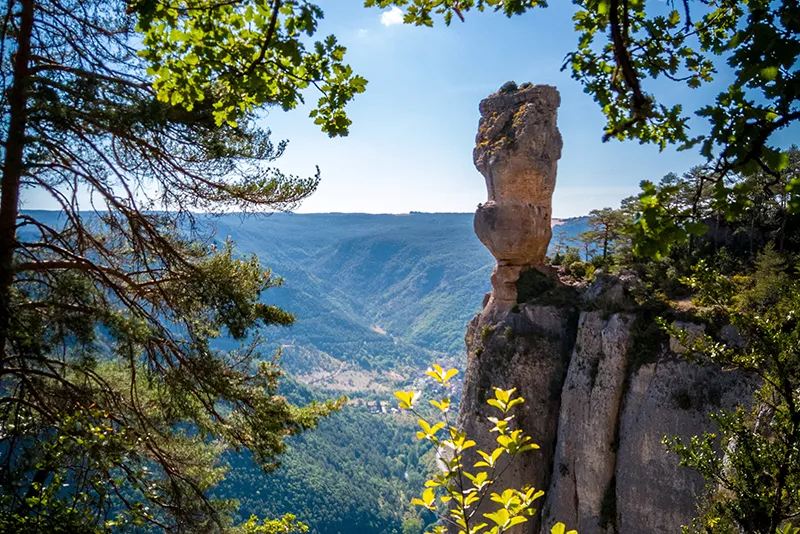 vase de sevres le rozier peyreleau